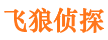 沙湾市侦探公司